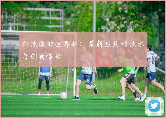 科技赋能世界杯:最新应用的技术与创新体验