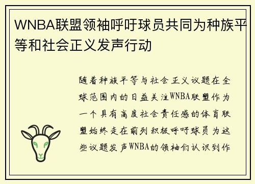 WNBA联盟领袖呼吁球员共同为种族平等和社会正义发声行动